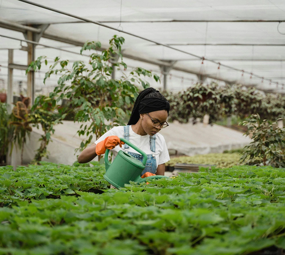 Breaking Down Barriers to Crop Insurance