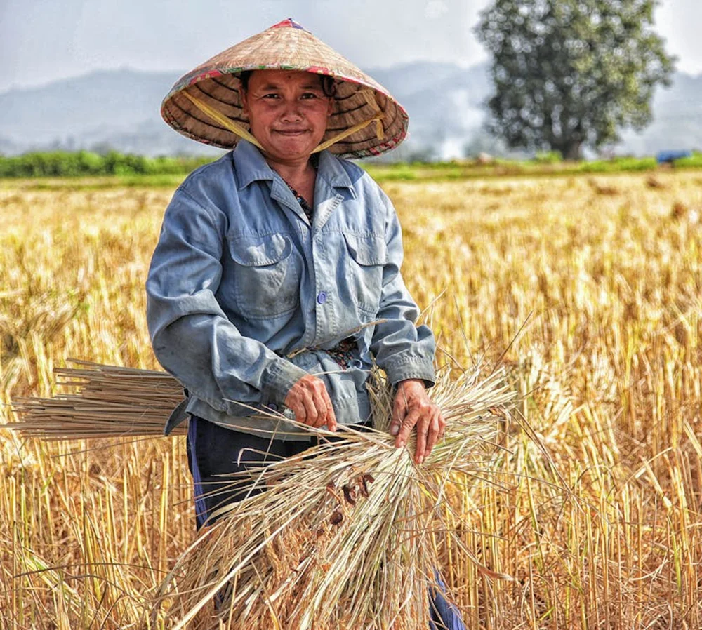 How Can You Growing Your Agriculture Products