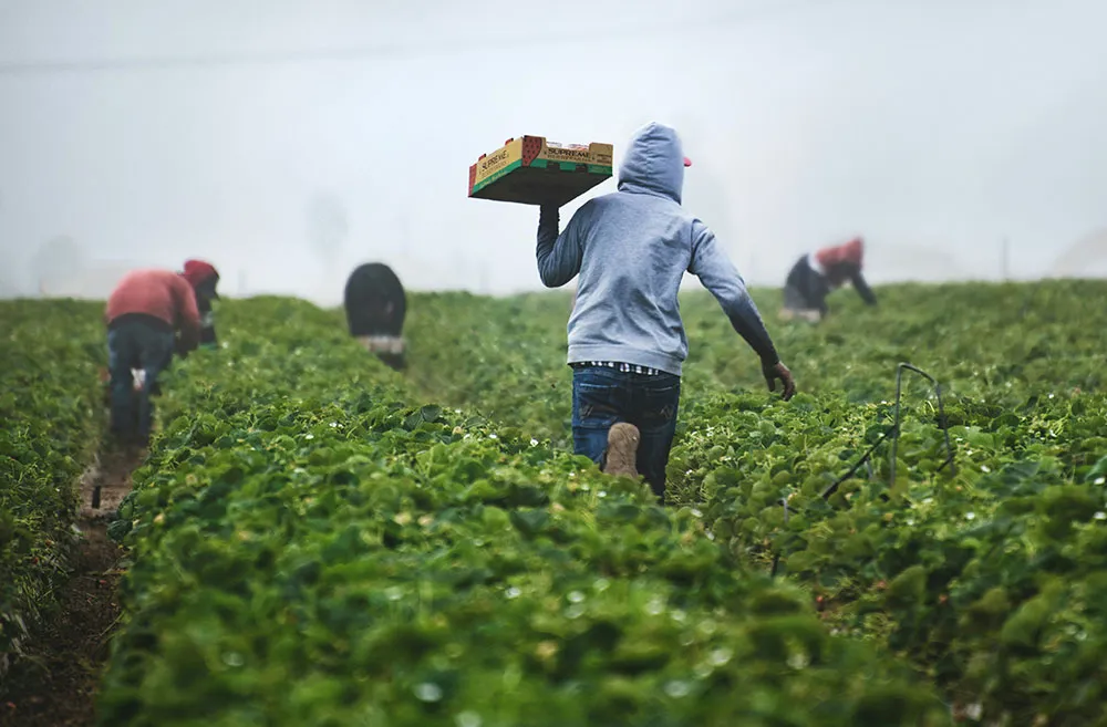 Which type of farming is more prevalent today?