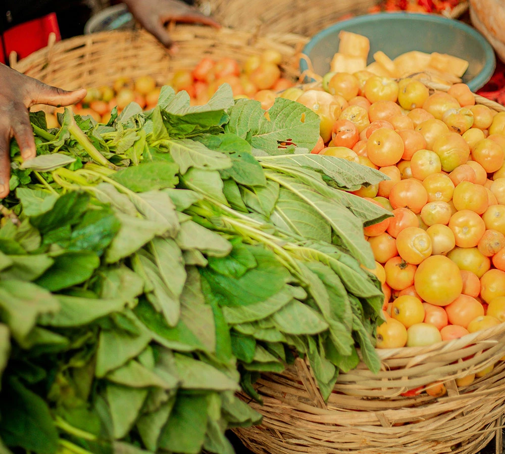 Helping Farmers Navigate Insurance Options