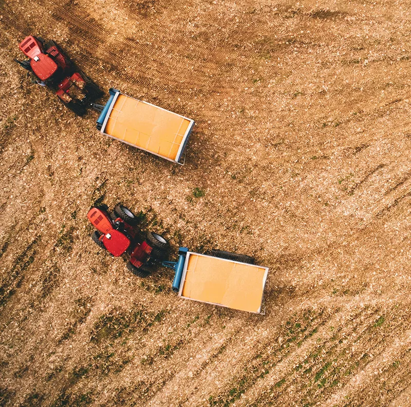 The Potential of Virtual Reality in Agrifood